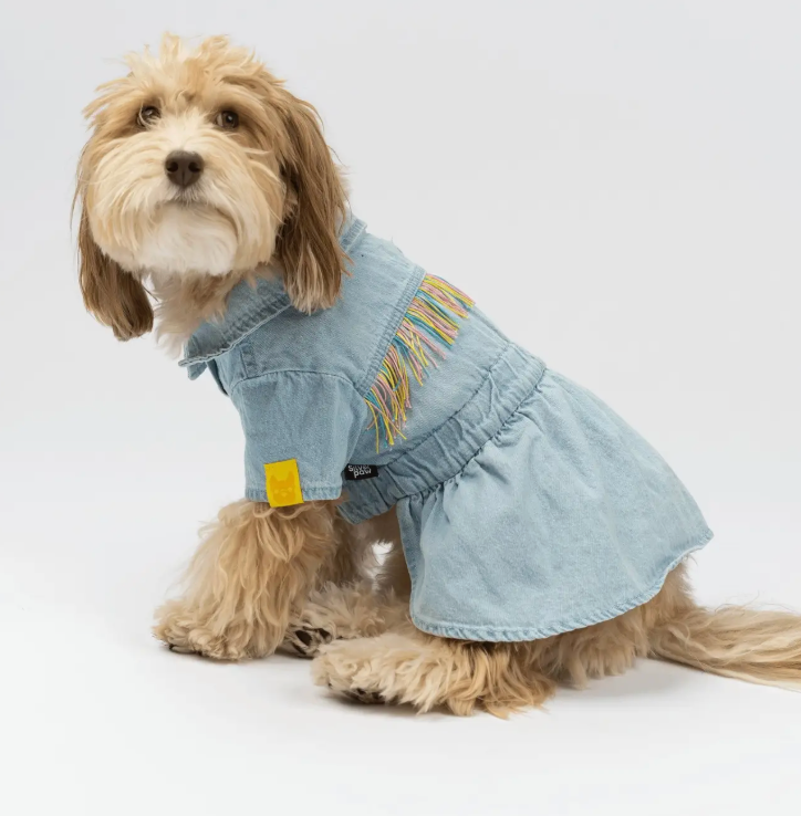Fringe & Fit Denim Dog Dress