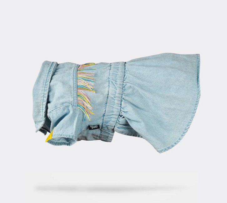 Fringe & Fit Denim Dog Dress