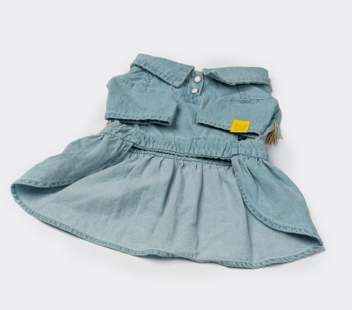 Fringe & Fit Denim Dog Dress