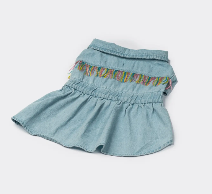 Fringe & Fit Denim Dog Dress