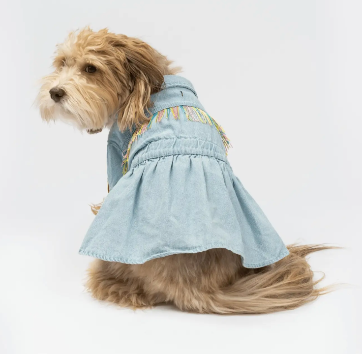Fringe & Fit Denim Dog Dress
