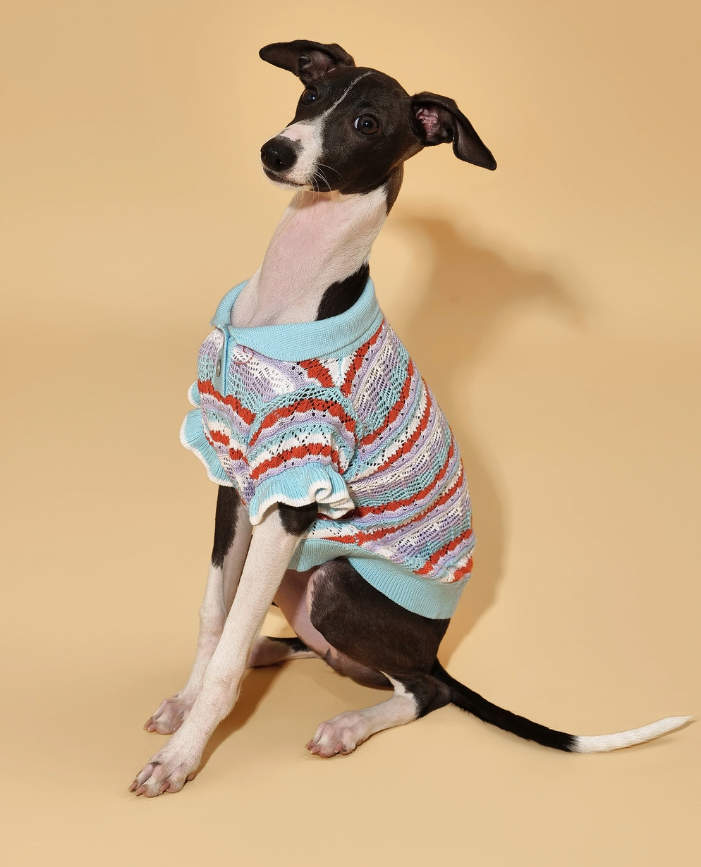 Ruffle Delight Crochet Pet Shirt