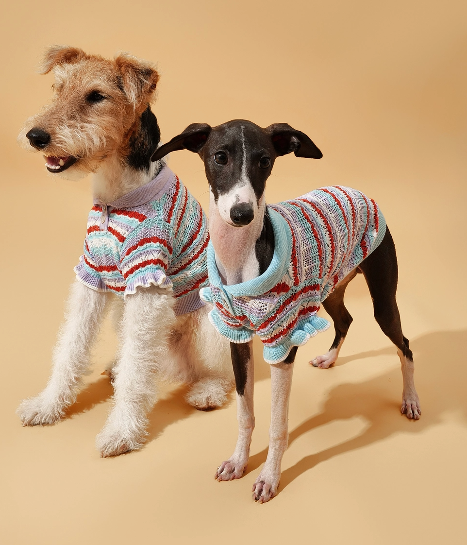 Ruffle Delight Crochet Pet Shirt