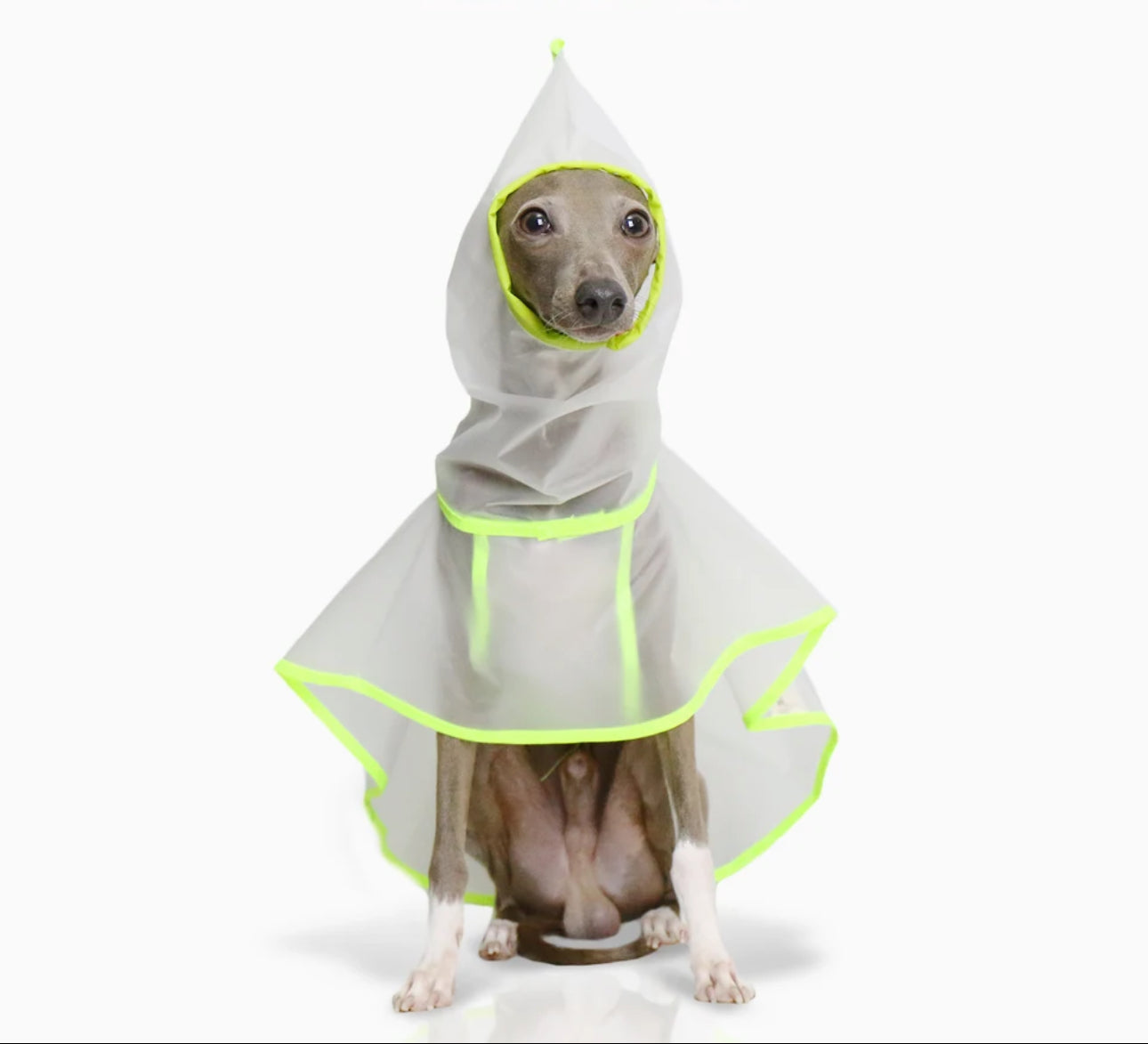 Neon Raincoat
