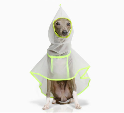 Neon Raincoat