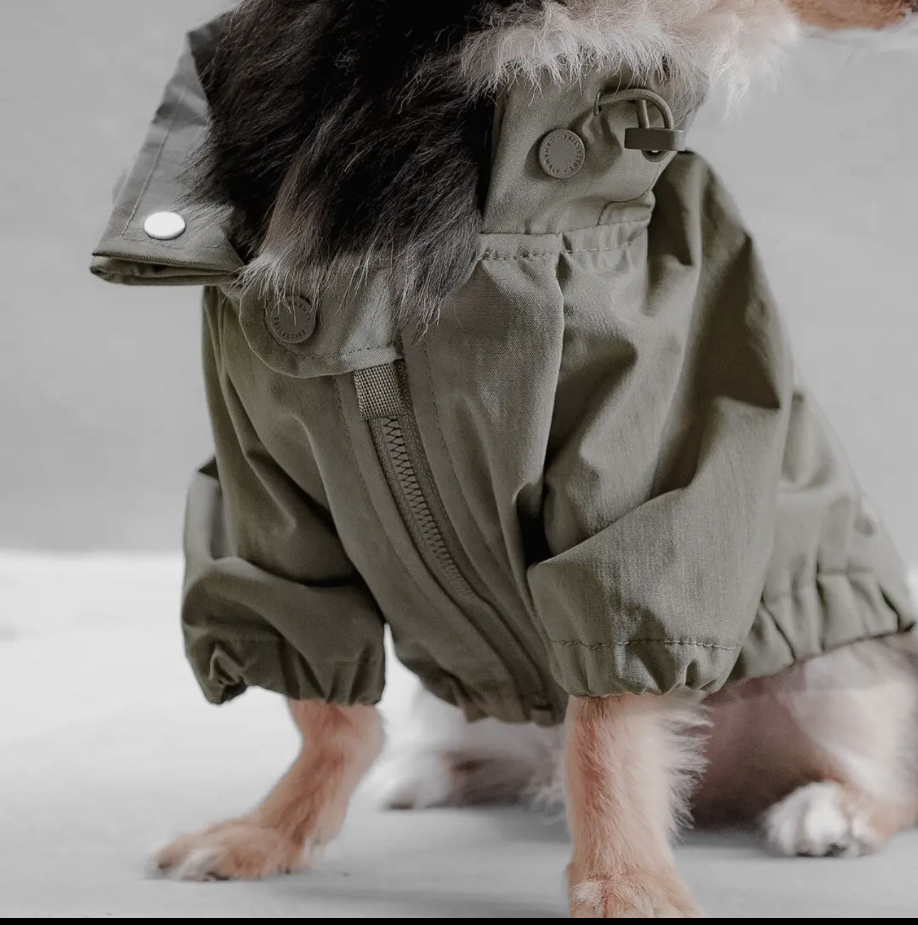 Evergreen Windbreaker