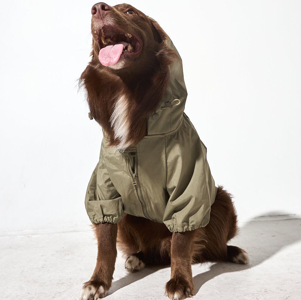 Evergreen Windbreaker