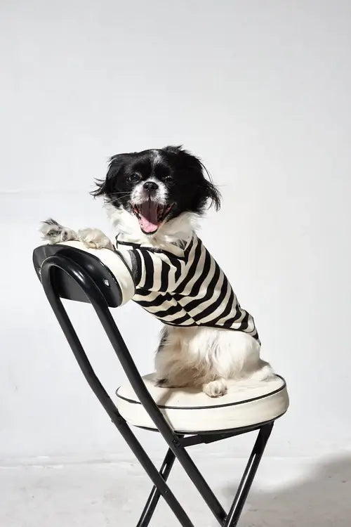 Stripes Shirt