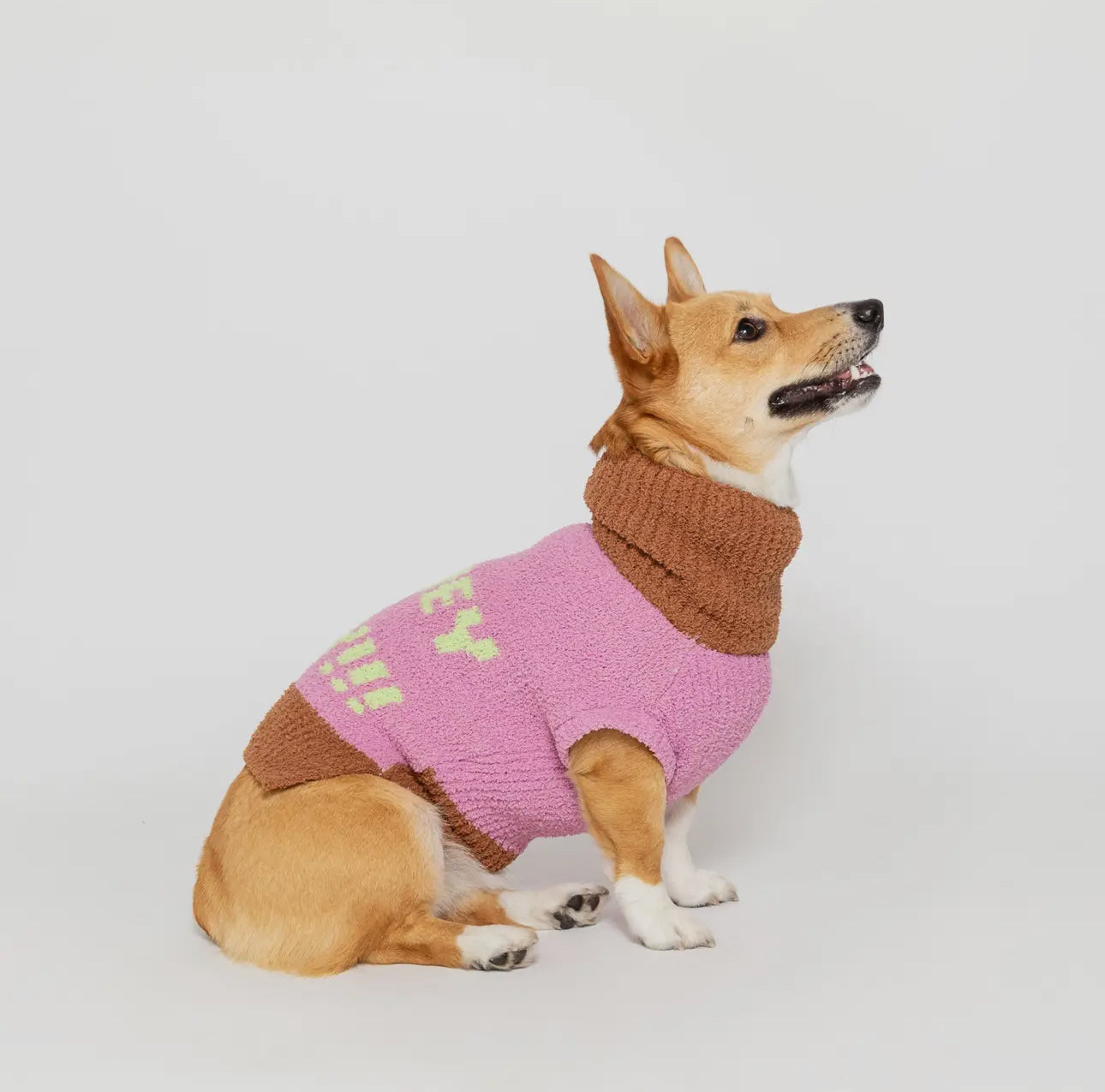 Hey, Hey, Hey! Sweater