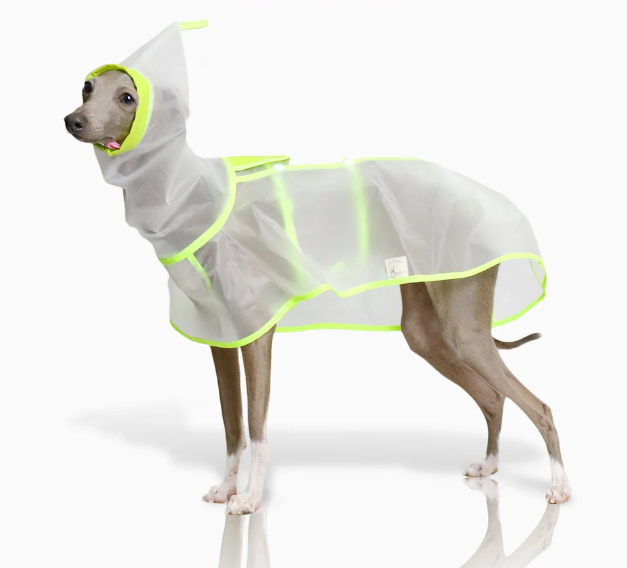Neon Raincoat