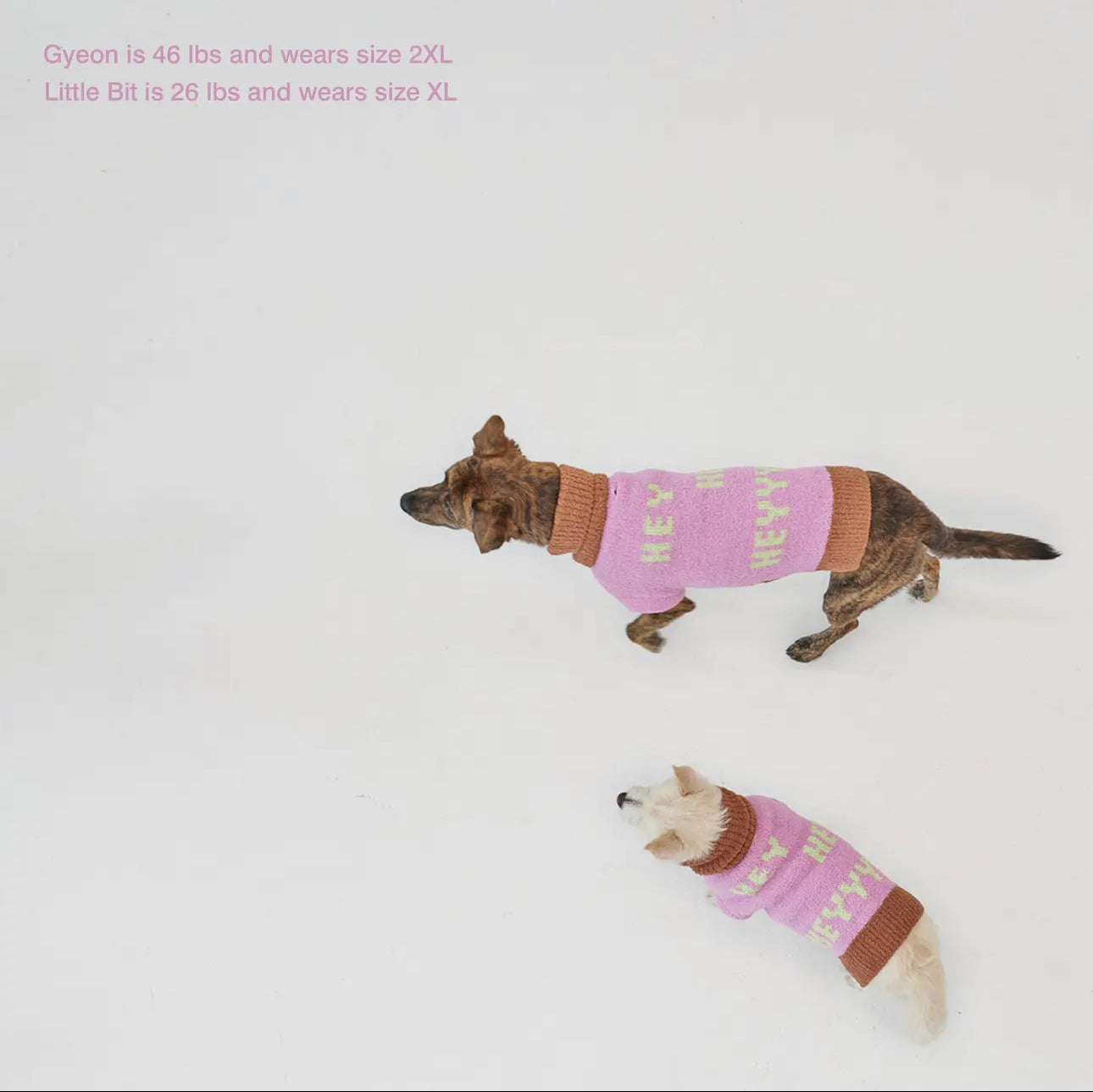 Hey, Hey, Hey! Sweater