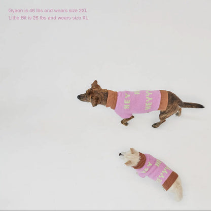 Hey, Hey, Hey! Sweater