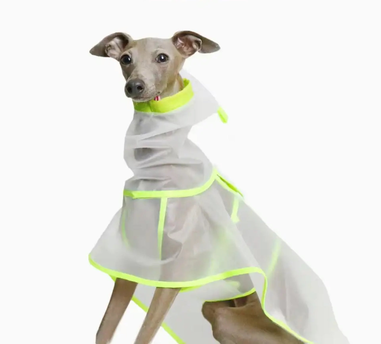 Neon Raincoat