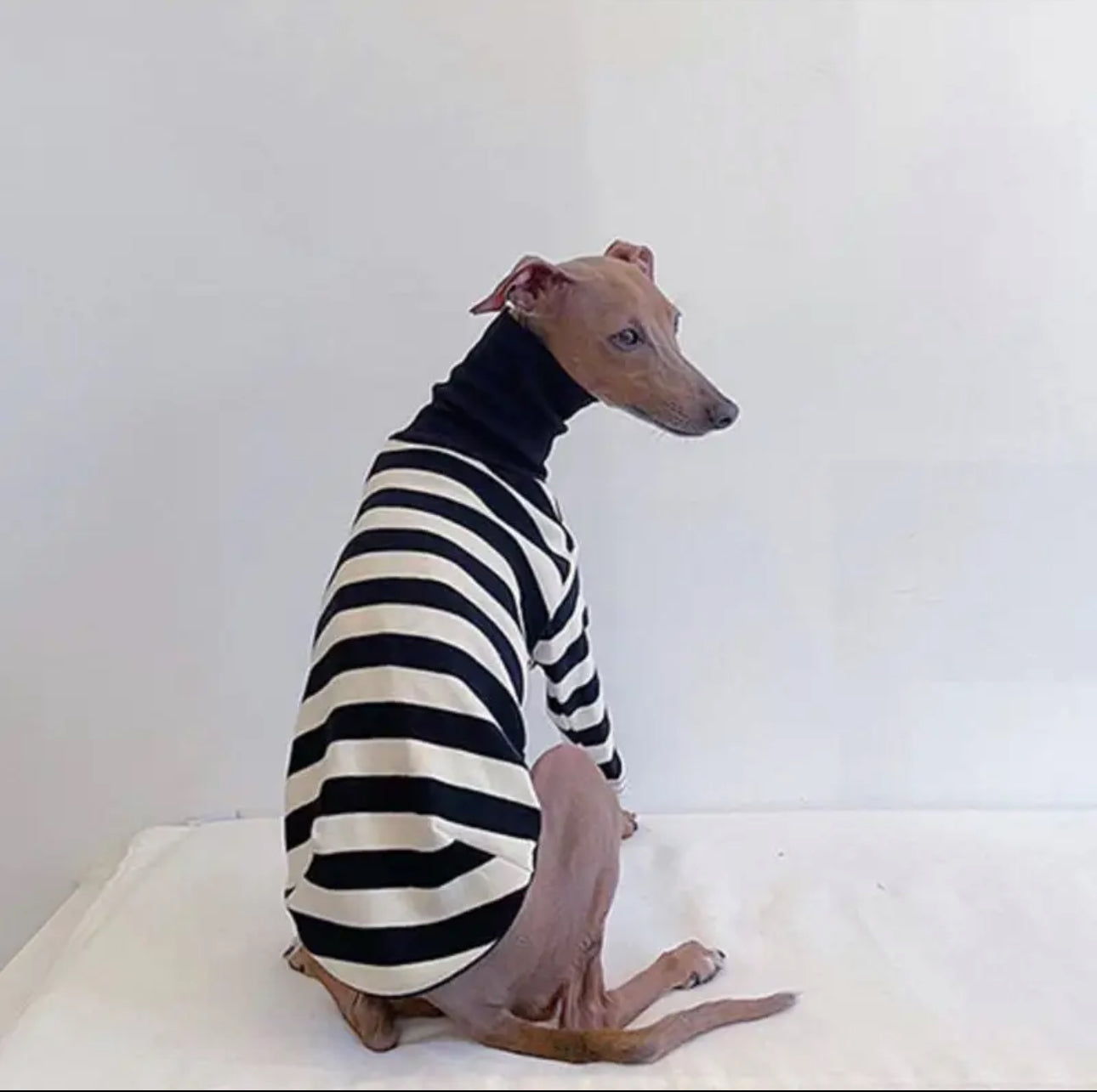 Stripes Shirt