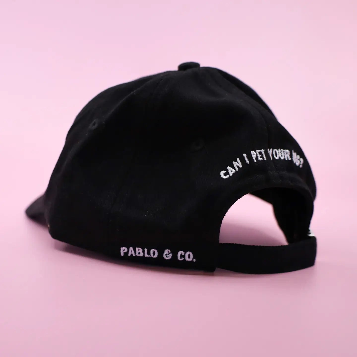Dog Person Baseball Cap