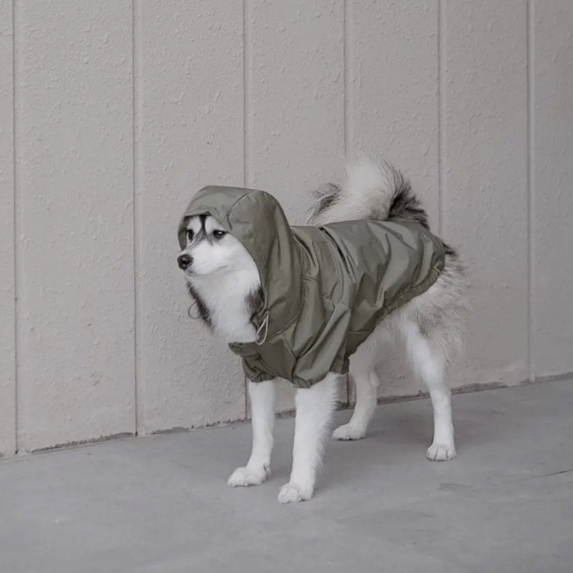 Evergreen Windbreaker