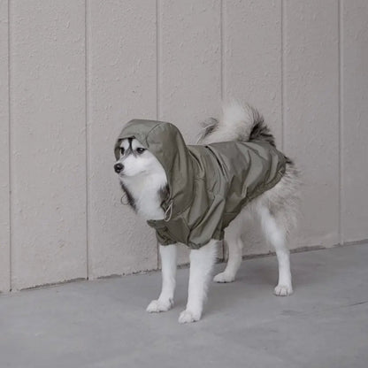Evergreen Windbreaker