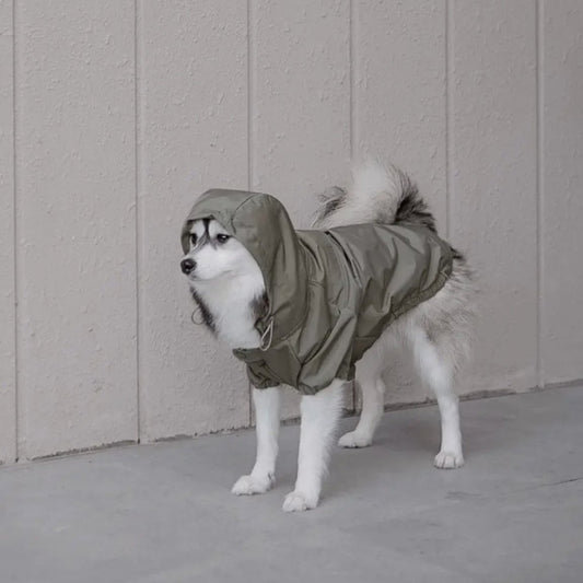 Evergreen Windbreaker