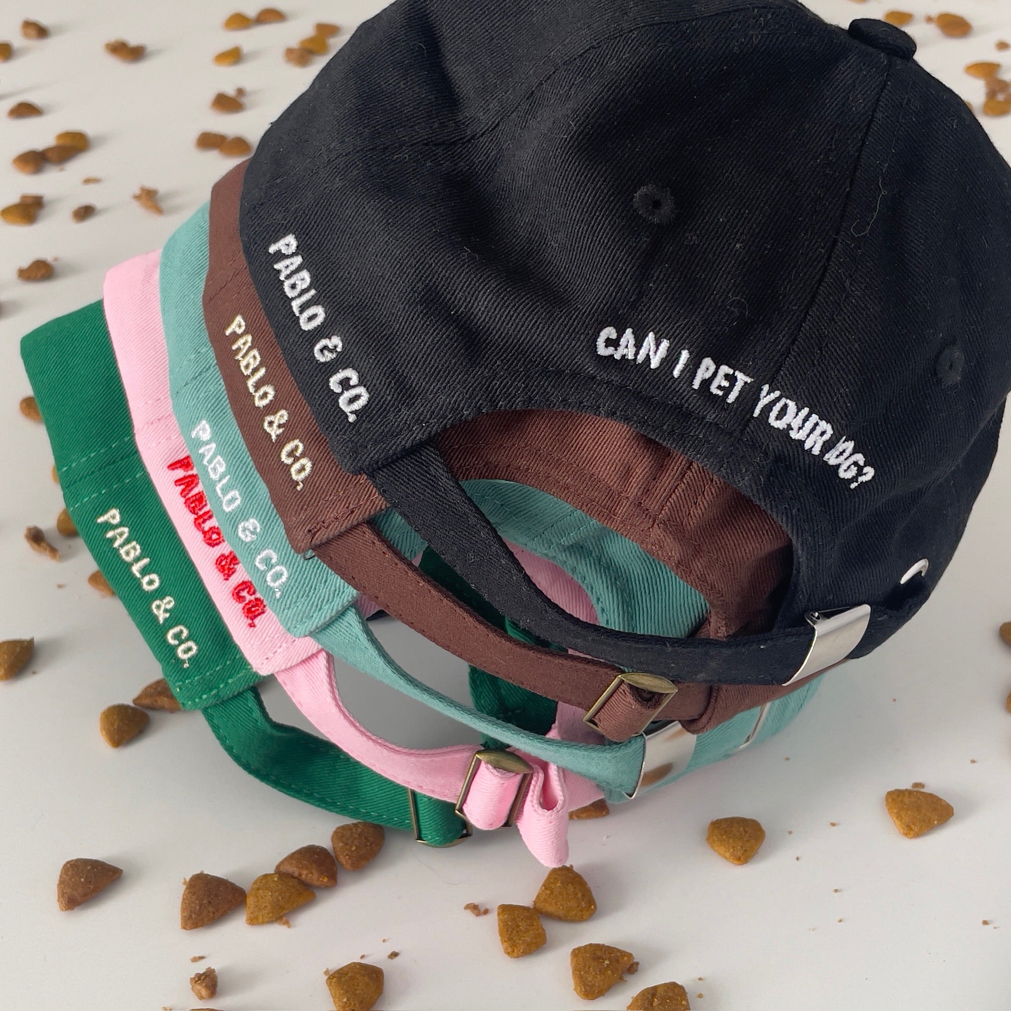 Dog Person Baseball Cap