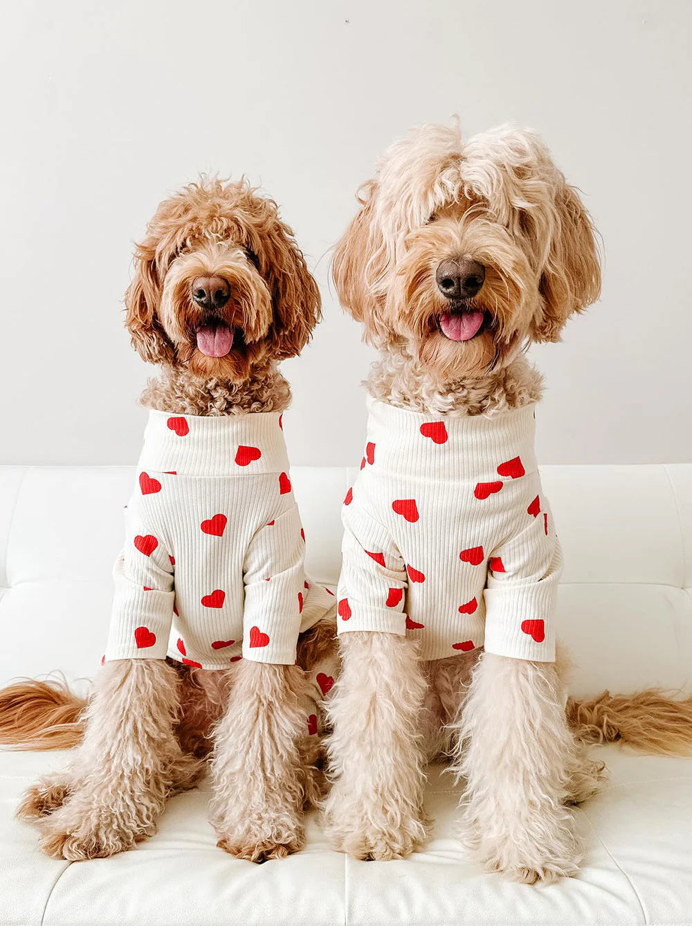 Lover Pup Onesie