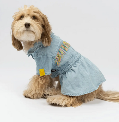 Fringe & Fit Denim Dog Dress