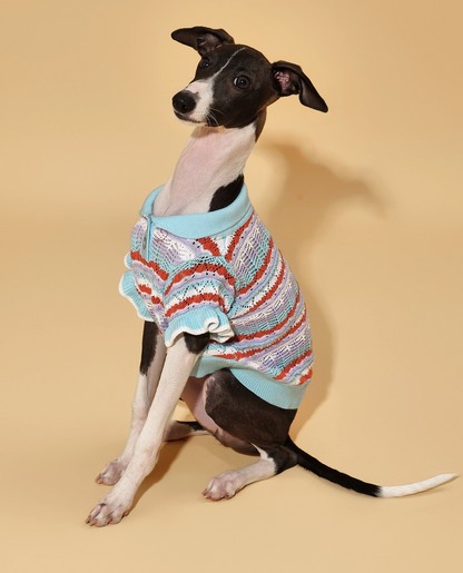 Ruffle Delight Crochet Pet Shirt