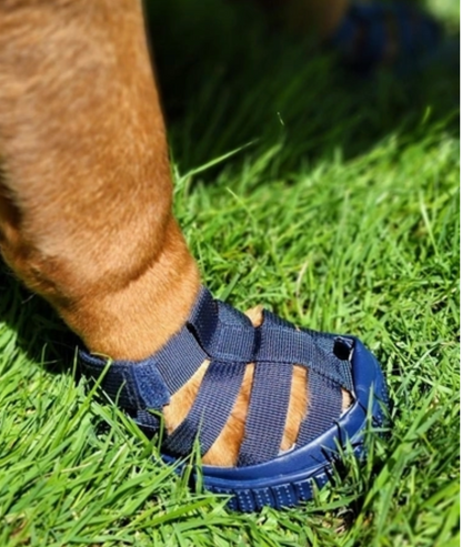 Doggy Gladiator Sneakers